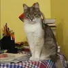 Отзыв от Зинаида Блинова
